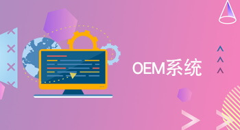 OEM系統(tǒng)